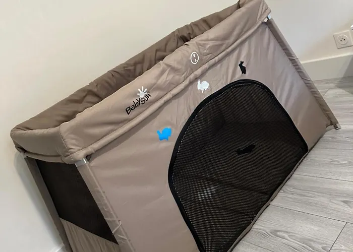 Grand 2 Lumineux Et Moderne A